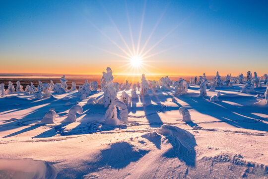 winter sunset in the mountains with snow