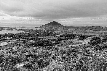 A black and white photo of a hillside with a mountain in the background