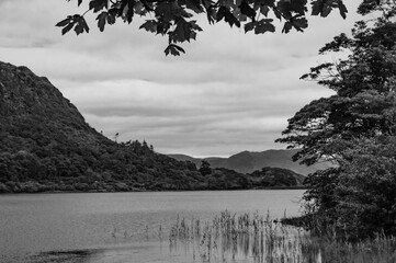 A black and white photo of a lake with trees in the background