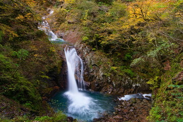 waterfall in the forest in autumn