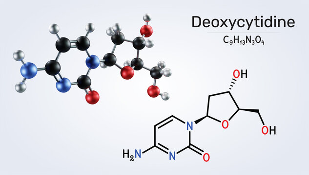Deoxycytidine molecule, DNA nucleoside involved in molecular biology and genetics. 3d molecular model with structural formula. 3D rendering. Illustration