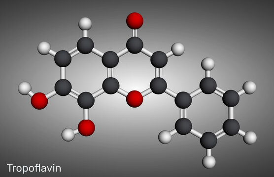 7,8-Dihydroxyflavone, tropoflavin molecule. Natural flavonoid and potent TrkB agonist. Molecular model. 3D rendering. Illustration