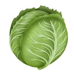 Fototapeta premium A vibrant green cabbage against a sleek black background