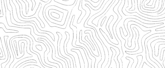 Vector Abstract Organic Line Pattern on White Background