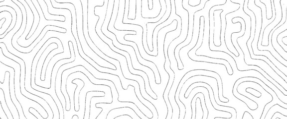 Vector Abstract Organic Line Pattern on White Background