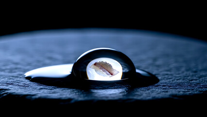 Lunar abstract a droplet of water on a black stone, reflecting not the moon, but a single, illuminated piece of white fish (hirame) sashimi, creating a surreal edible moon 