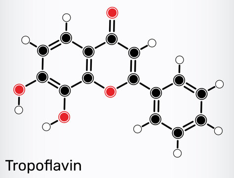 7,8-Dihydroxyflavone, tropoflavin molecule. Natural flavonoid and potent TrkB agonist. Skeletal chemical formula. Vector illustration