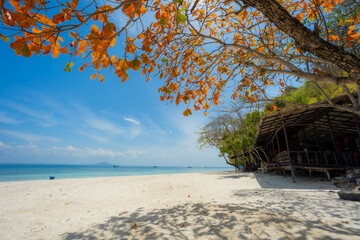 Thailand beach in Krabi province
