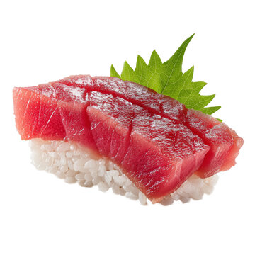 Fresh Maguro Tuna Nigiri Sush