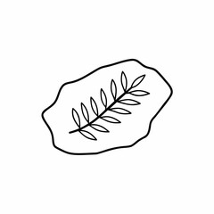 Fossil Leaf Vector