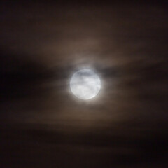 Obraz premium Full moon in the night sky with clouds