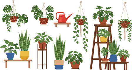 Indoor hanging and potted houseplant vector illustration set with shelves, watering can and wooden stands, modern home garden decor design for interior and lifestyle projects ©  Hossain Creative