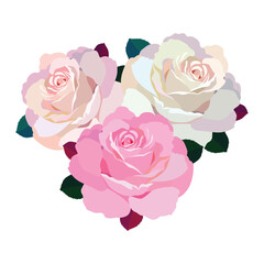 Rose flowers. Vector illustration. Roses in pink color, icons for design. Flower with petals. Love, romance flowers. Vector icons. Love symbol. For gifts, Valentine's Day, birthday, cards, decoration