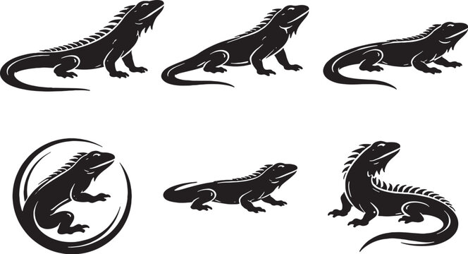 Green Iguana Classic Icon Set Realistic Silhouette Black and White Reptile Icons eps
