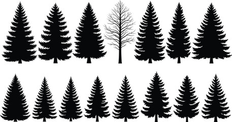Fototapeta premium Black pine and fir tree silhouettes collection with one leafless tree, minimalist forest icons isolated on white background