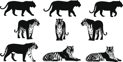 Black tiger silhouettes and detailed striped tiger illustrations collection, wild big cat poses set, powerful feline icons isolated on white © KagenChandro