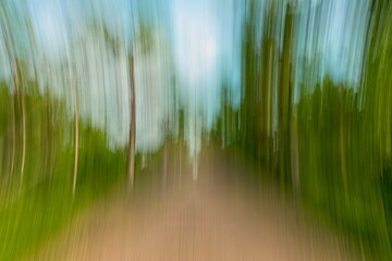 ICM of a path in forest in summer with clouds in the sky created using an intentional camera movement technique, Loode tammik, Saaremaa, Estonia.