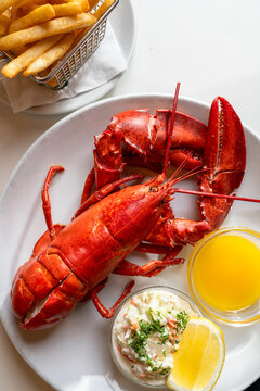 Lobster