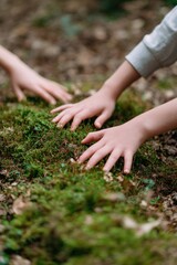 Children's hands exploring nature with lush green moss in forest environment