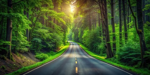 Fototapeta premium Sunlit Path Through Lush Green Forest Canopy, Winding Asphalt Road Beckons Journey