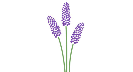 Obraz premium Elegant stylized lavender flower bouquet graphic with minimalist
