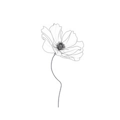 Elegant line art drawing depicting a single, delicate flower with intricate petal details on transparent background