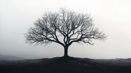 A metaphorical tree growing uniquely shaped branches representing the journey of psychological individuation