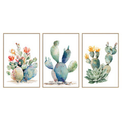 Beautiful watercolor triptych featuring three distinct cactus and succulent plant illustrations on transparent background