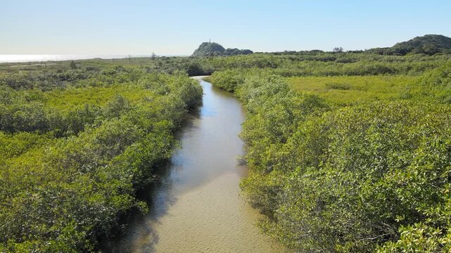 Voo de drone sobre Ilha do Mel do lado de Bras&iacute;lia no Litoral do Paran&aacute; sobre canal fluvial no mangue na mata atl&acirc;ntica em Paranagu&aacute; com farol das conchas