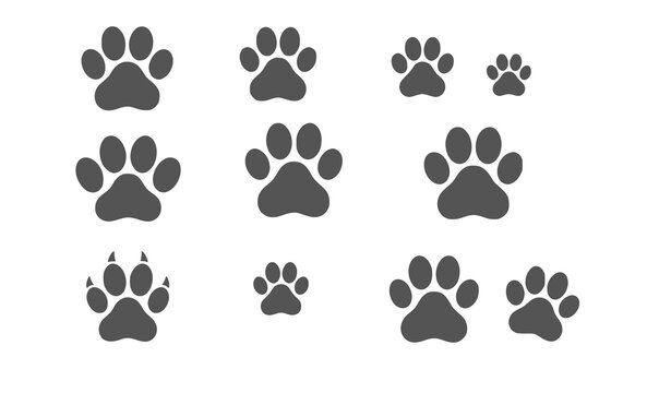 Black paw prints arranged in a grid on a white background