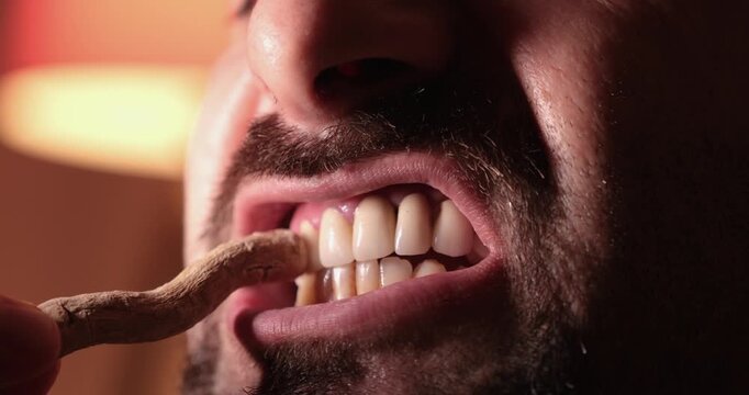 Man Cleaning His Teeth with Miswak, Natural Oral Care and Traditional Hygiene Concept