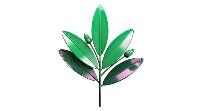 Green leaves and buds on a white background