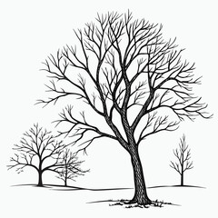 Obraz premium A minimalist black winter tree silhouette vector with bare branches isolated on a white background captures a cold nature landscape