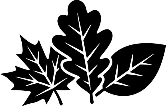 Autumn leaf collection in black and white silhouette flat style. Fall nature symbol. Vector illustration for design element, icon, clip art