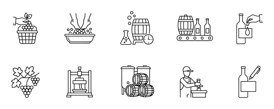 Wine production and viticulture thin line icons illustrating the complete cycle from grape picking and pressing to fermentation, aging in barrels, and final bottling