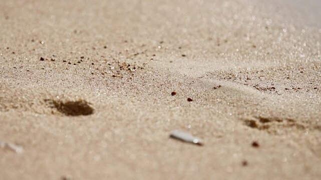 Woman footprint on sandy beach being washed away by incoming wave at sunrise