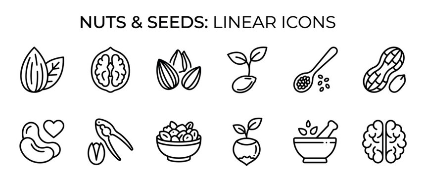 Black and white linear icons of nuts and seeds including almond, walnut, peanut, and cashew for healthy eating and superfood concepts, presented in a clean minimalist outline style