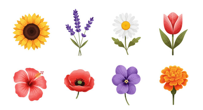 Floral variety botanical bloom collection