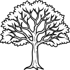 Fototapeta premium tree with roots