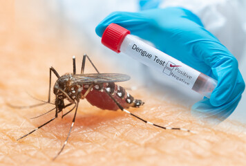 Composite concept of Aedes mosquito and positive Dengue blood test tube. Medical visual for tropical virus outbreak, vector-borne disease diagnosis, and healthcare risk.