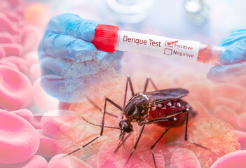 Composite concept of Aedes mosquito and positive Dengue blood test tube. Medical visual for tropical virus outbreak, vector-borne disease diagnosis, and healthcare risk.