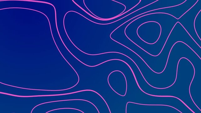 Video modern abstract blue background with flowing pink contour lines inspired by topographic maps