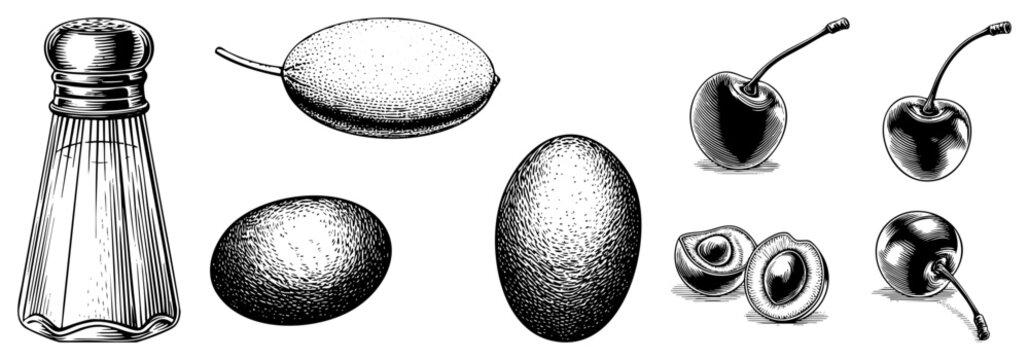 Classic salt shaker with textured glass, halftone rendered fruits including olive, lemon, egg, cherries, and apricot halves, vector illustration.