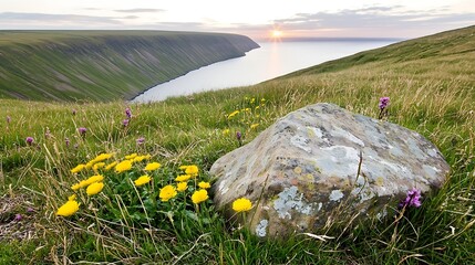 Scenic Coastal Landscape with Wildflowers, Rocks and Sunset Over the Calm Ocean in a Serene Natural Setting