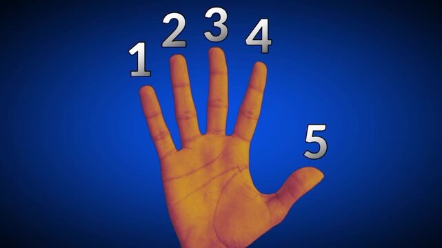 Animated human hand counting with smooth finger movement. Ideal for math education, learning visuals, tutorials, UI concept.