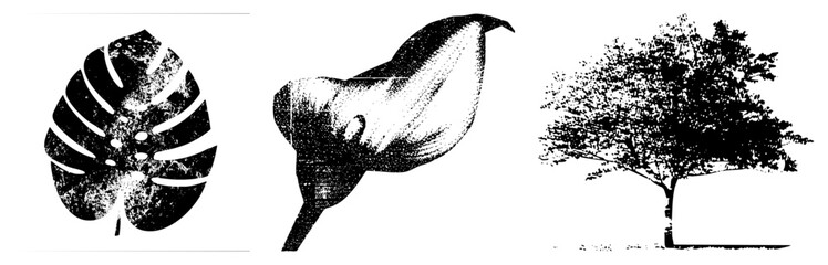 Fototapeta premium Stylized botanical illustrations with halftone texture, leaf, calla lily, tree silhouette, vector graphic, black and white, nature motifs.