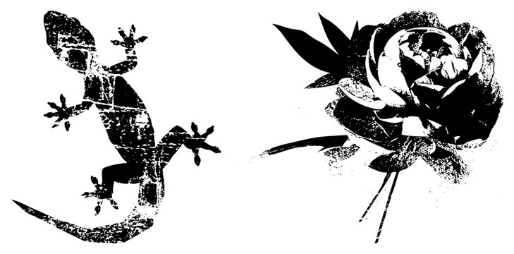 Black and white vector art of gecko and rose, graphic design elements, stencil style illustrations, textured, decorative motifs, isolated cutout graphics.