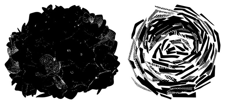 Stylized circular motifs rendered in bold black strokes and halftone textures, vector art with isolated petals and geometric spirals, graphic design elements.