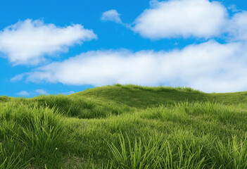 Obraz premium Landscape with blue sky and clouds. 3D rendering.