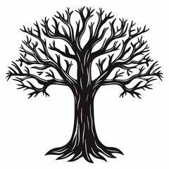 Obraz premium Black bare tree silhouette without leaves and exposed roots 